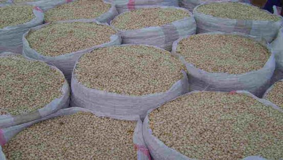 Dry Maize